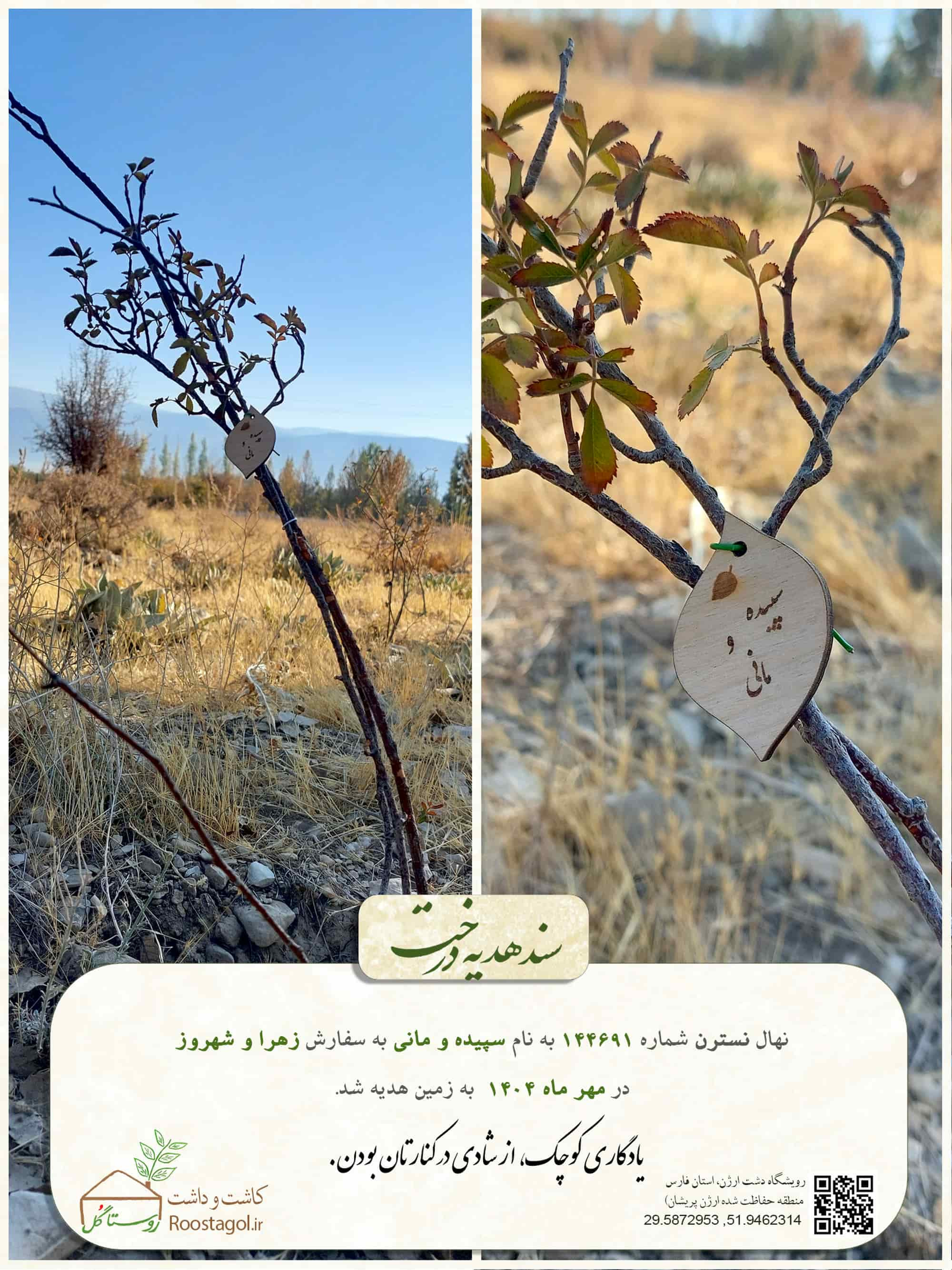 سپیده و مانی